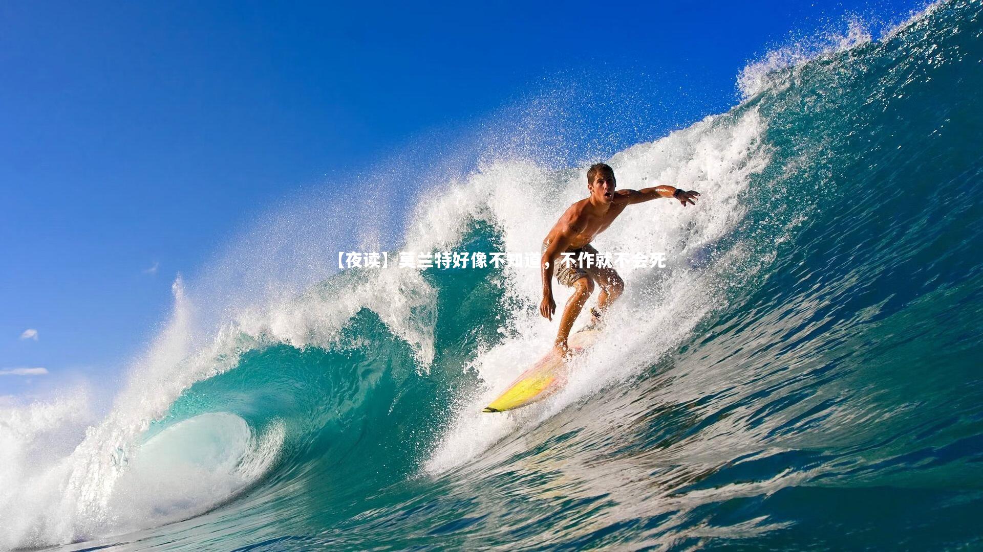 【夜读】莫兰特好像不知道,不作就不会死