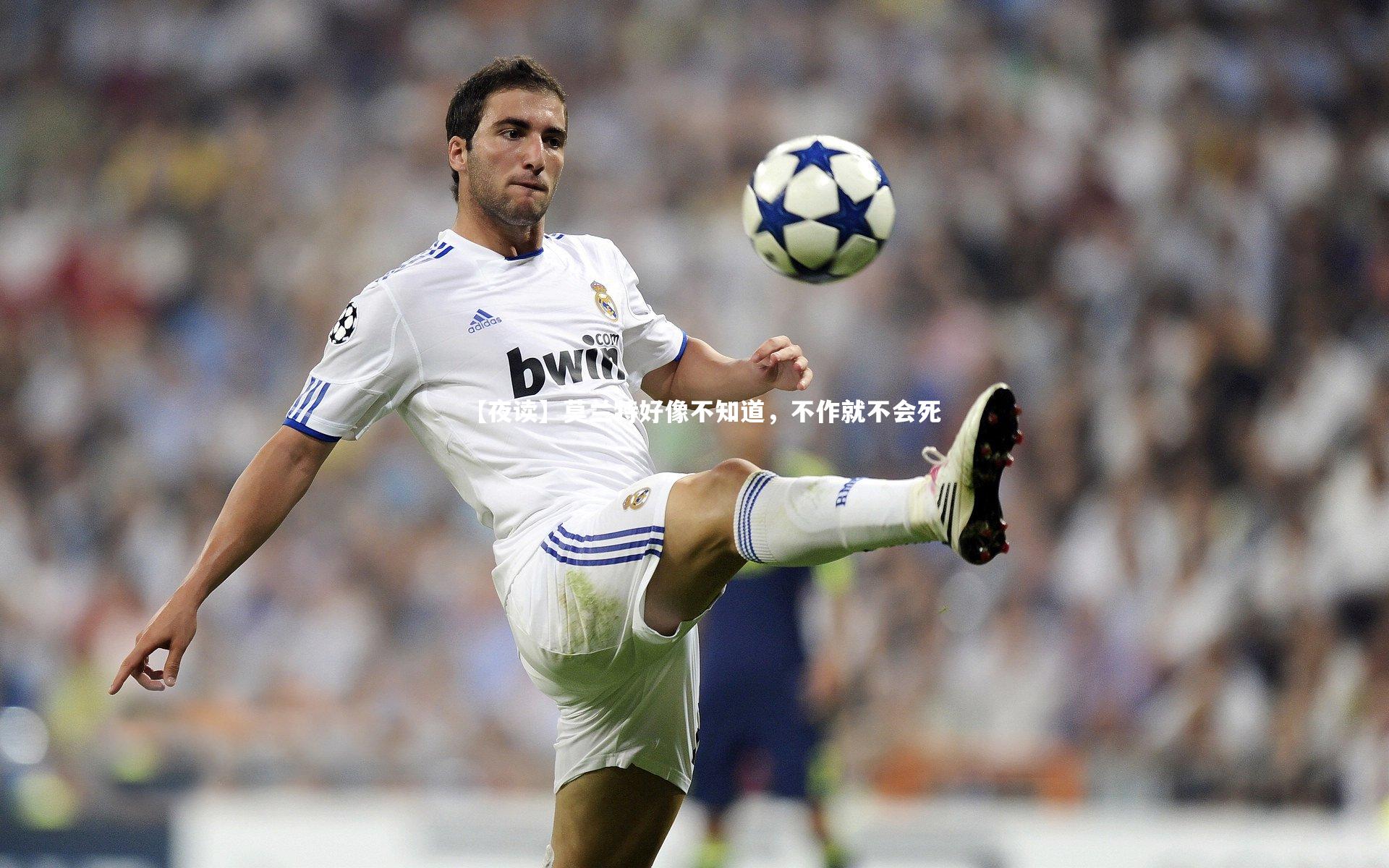 【夜读】莫兰特好像不知道,不作就不会死